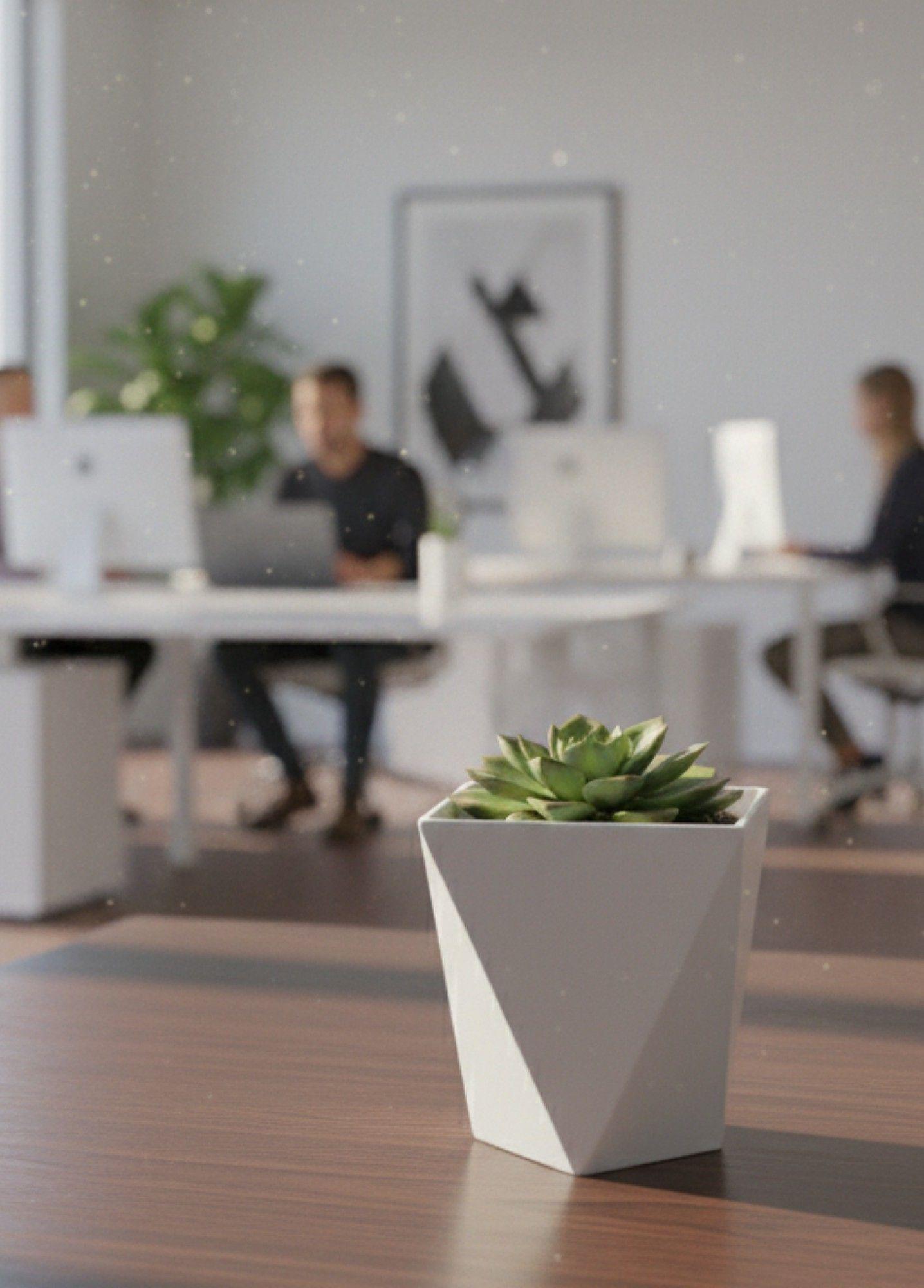 Set 2 Macetero Decorativo Geométrico Diamantado Adorno Jhn-3