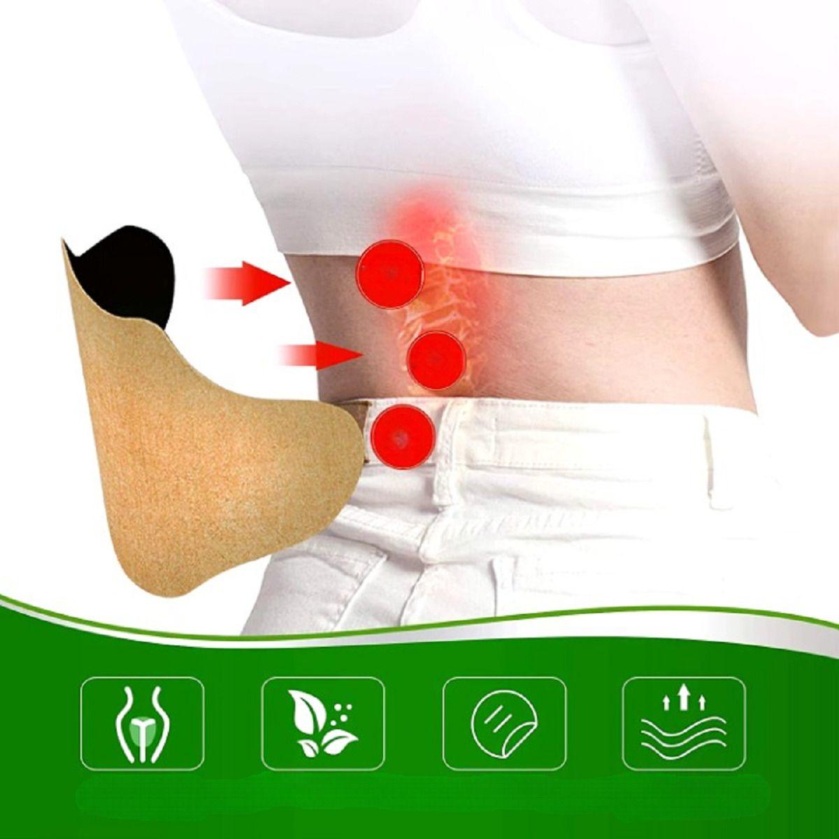 Set 10 Packs Alivia Dolor Columna Articular Muscular Lau-5