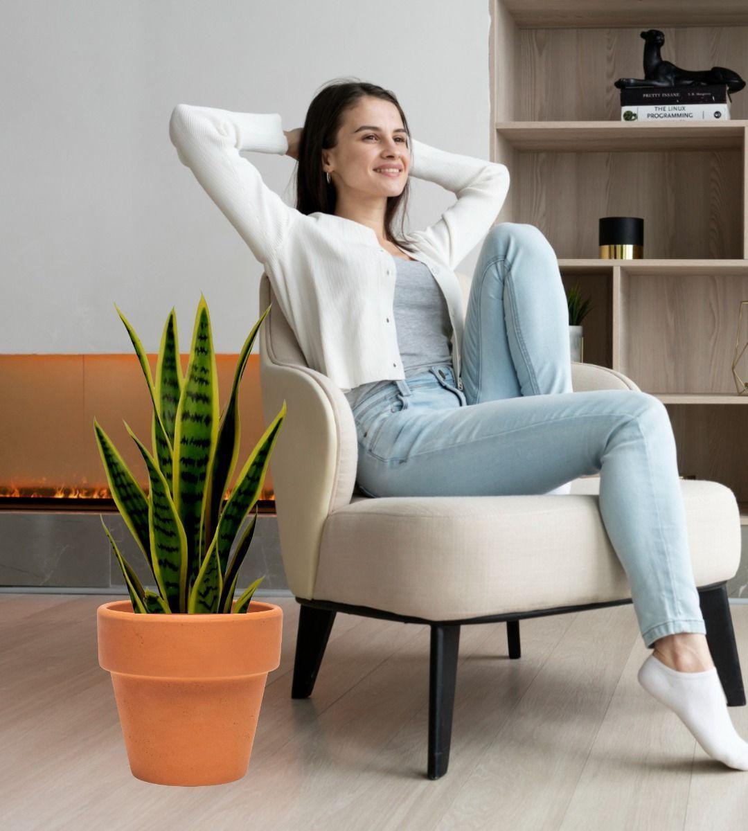 Planta Artificial Decorativa Creativa Maceta Hogar Jhn-4