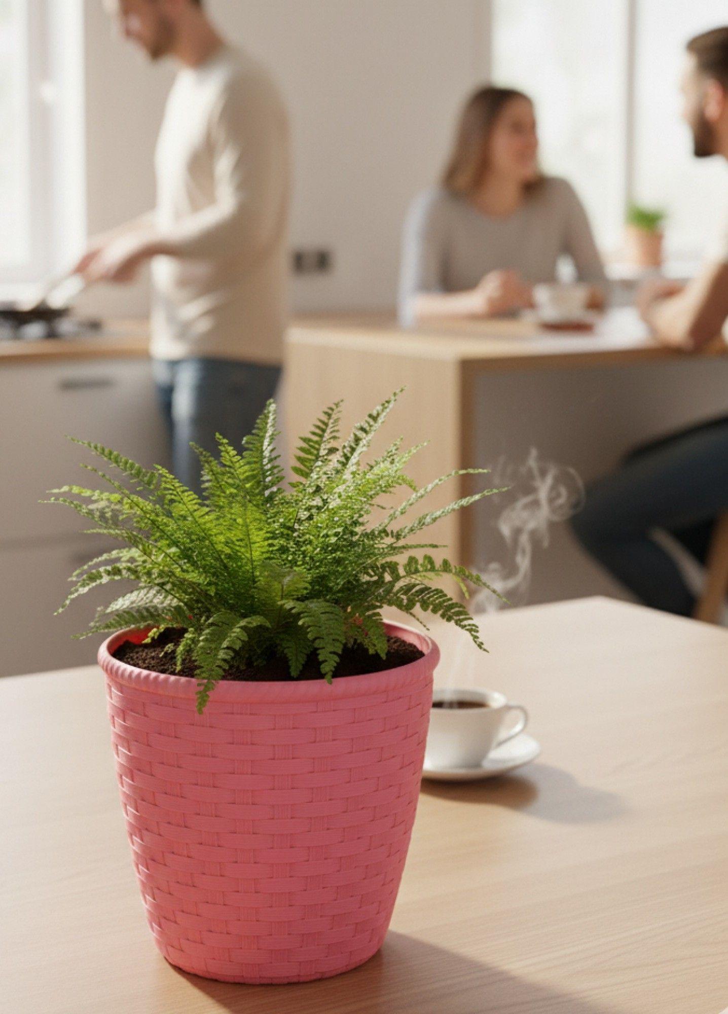 Set 2 Macetero Decorativo Diseño Trenzado Contenedor Jhn-4