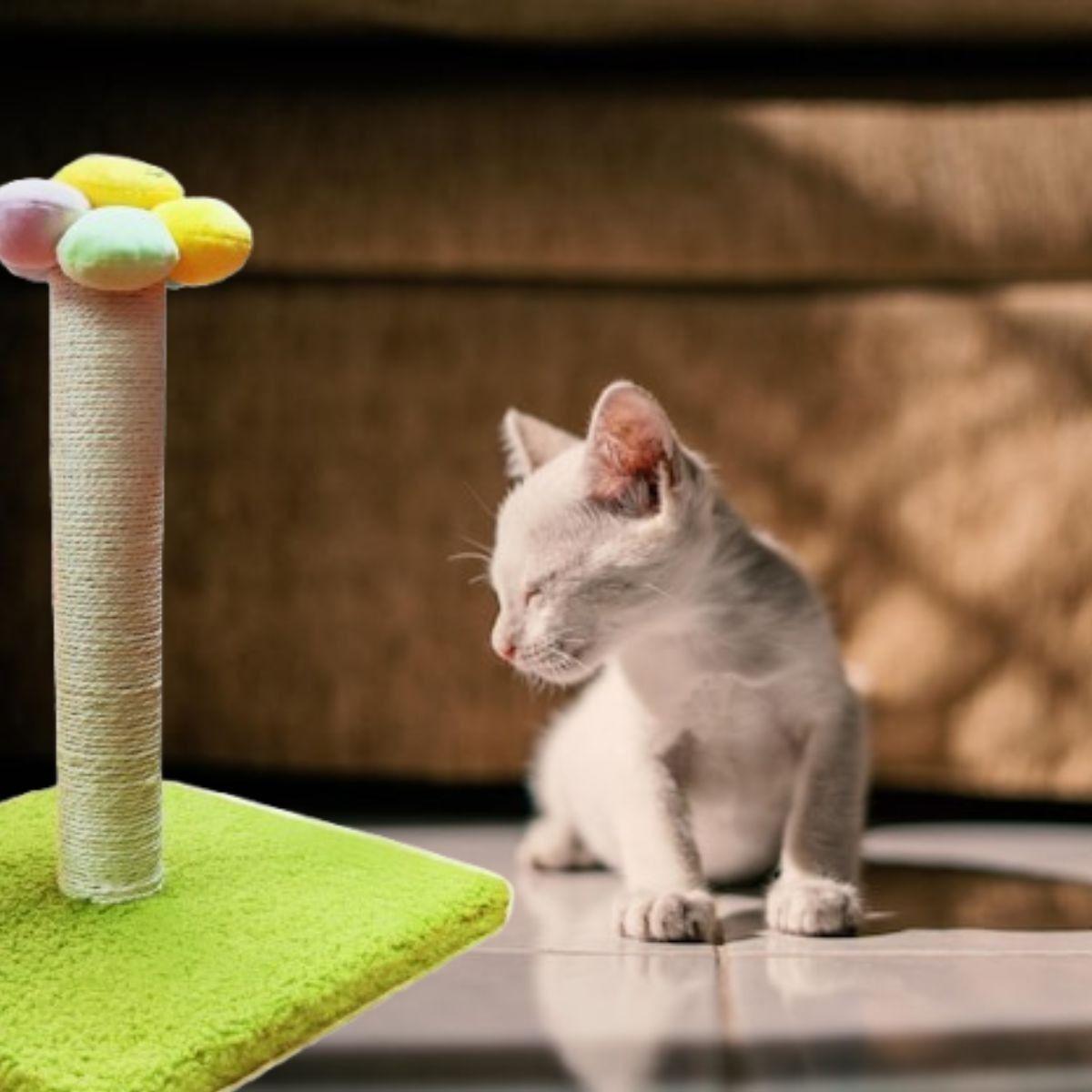 RASCADOR PARA GATOS FORMA DE FLOR MASCOTAS DIVERTIDO LAU-4