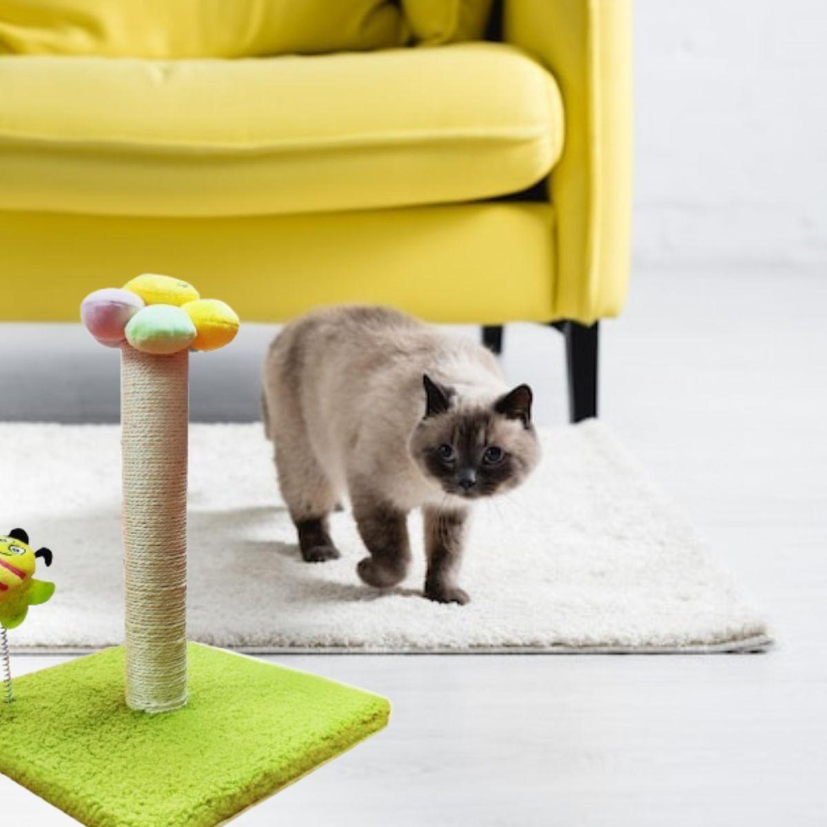 RASCADOR PARA GATOS FORMA DE FLOR MASCOTAS DIVERTIDO LAU-6