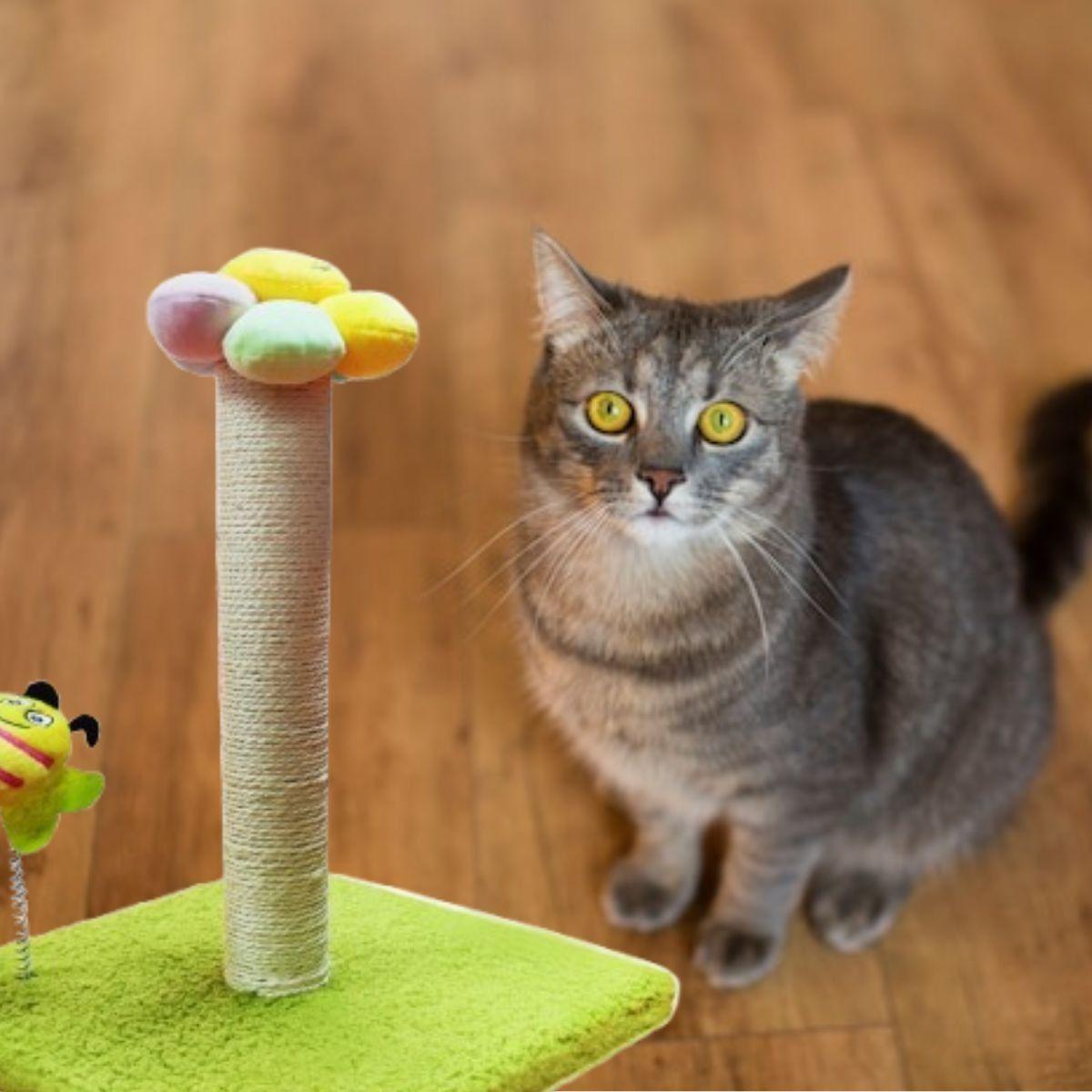 RASCADOR PARA GATOS FORMA DE FLOR MASCOTAS DIVERTIDO LAU-7