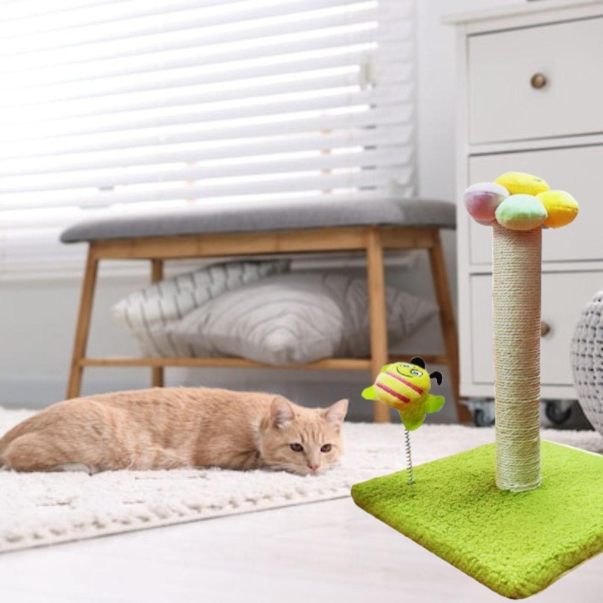 RASCADOR PARA GATOS FORMA DE FLOR MASCOTAS DIVERTIDO LAU-8