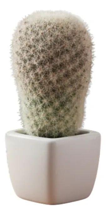 Planta Artificial Decorativa Cactus Ornamental Botánica Jhn-9