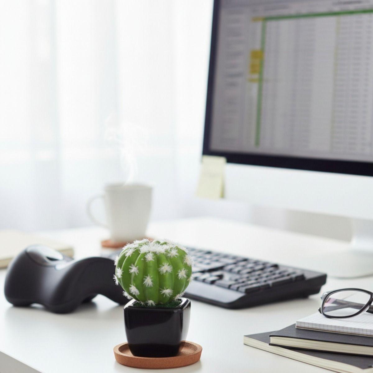 Set 2 Planta Decorativa Artificial Cactus Minimalista Jhn-9