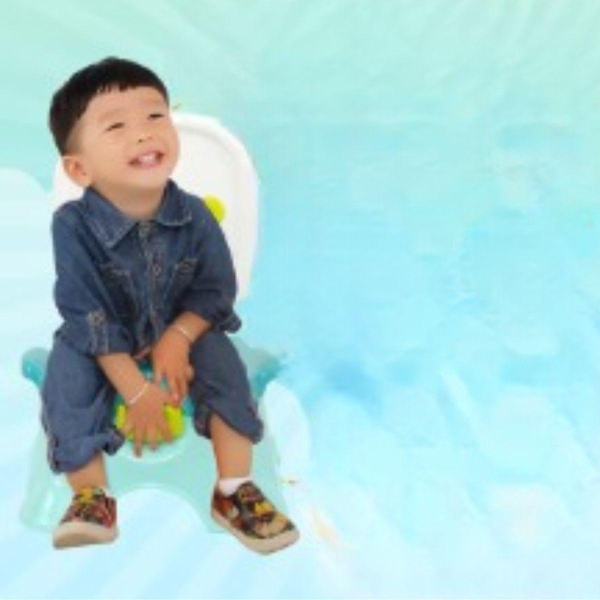 PELELA INODORO MULTIFUNCIONAL PORTATIL ENTRENADORA BEBE LAU-7