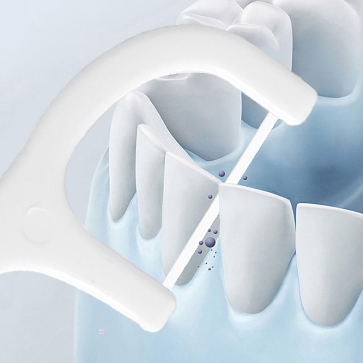 SET 10 CAJITAS PALILLO DIENTE HILO DENTAL LIMPIEZA BUCAL LAU-3