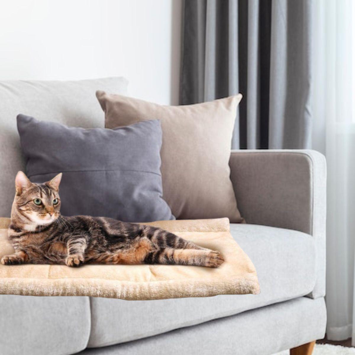 CAMA PARA PERROS TAPETE COMODO PARA MASCOTAS 2EN1 HOGAR LAU-6