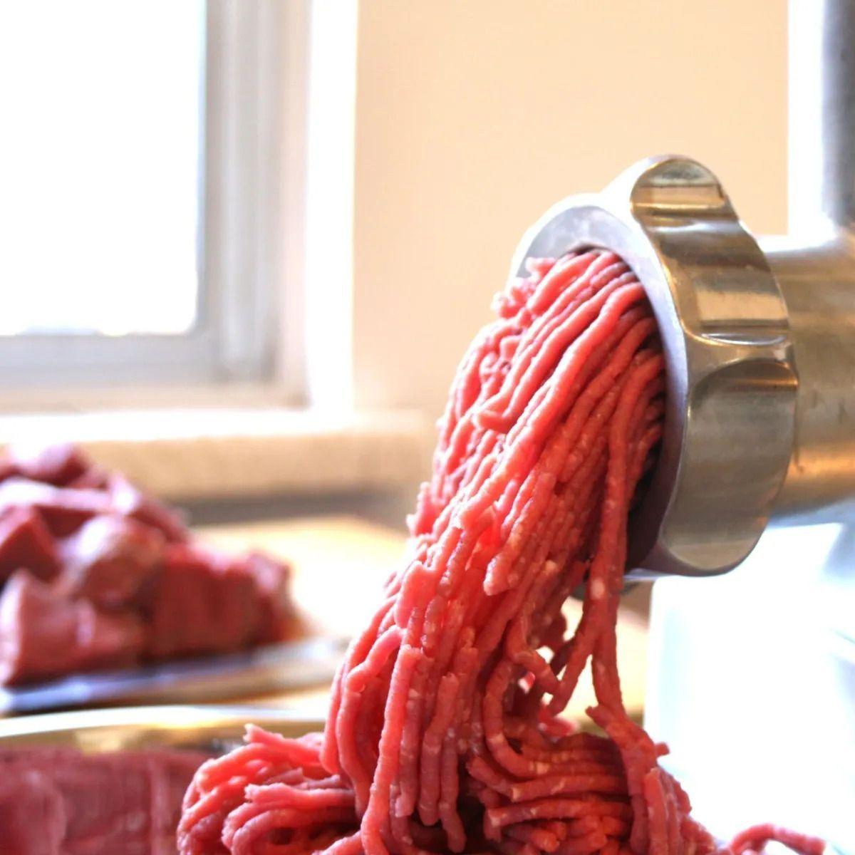 Moledora Carne Profesional Cocina Embutidos Salchichas ALJ-1