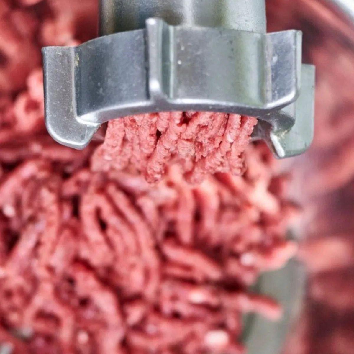 Moledora Carne Profesional Cocina Embutidos Salchichas ALJ-3