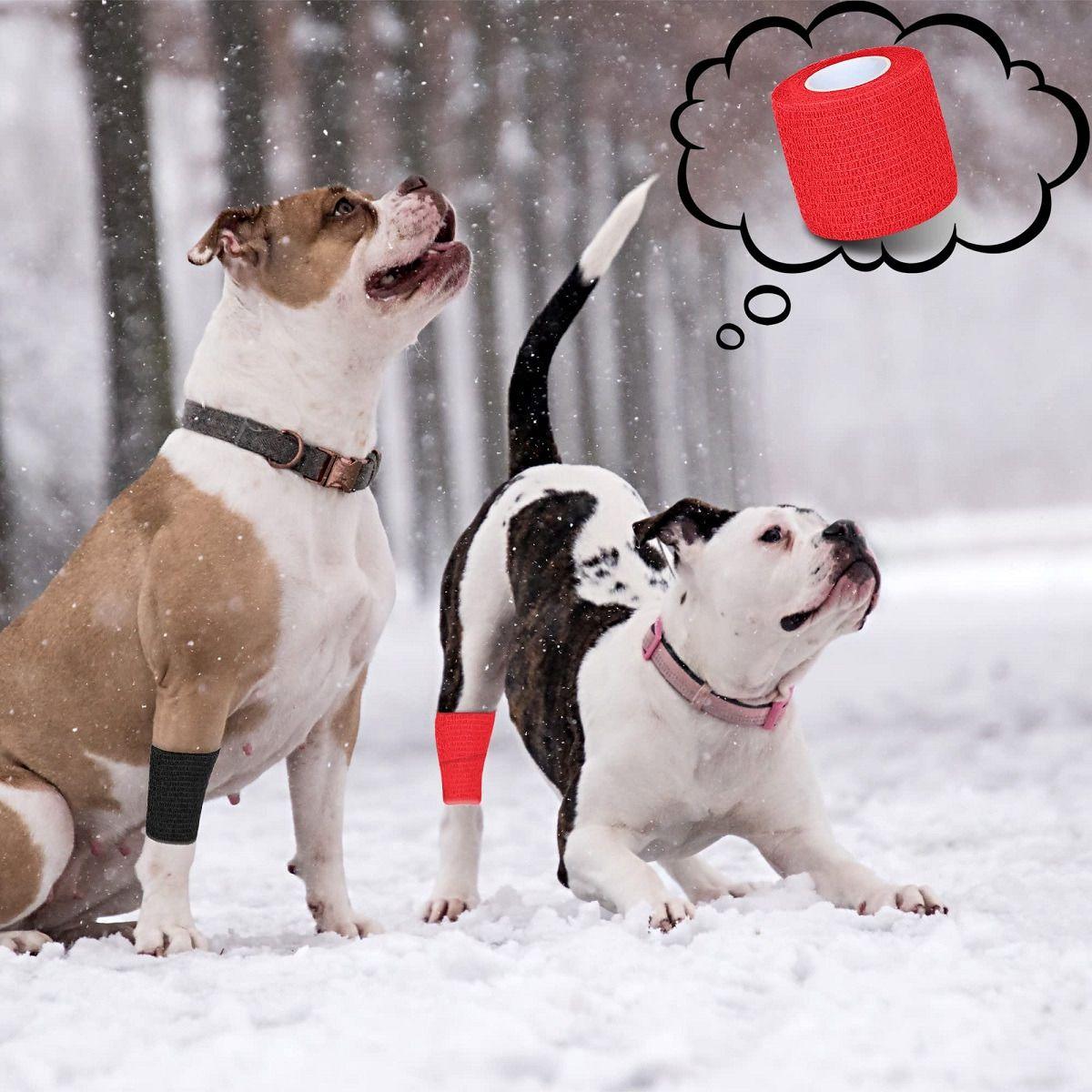 Set 15 Vendas Coban Elástica Primeros Auxilio 2,5cmx4,5m Lau-6