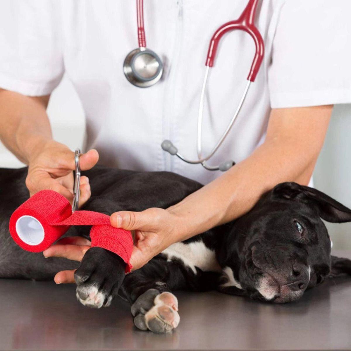 Set 5 Vendas Coban Elástica Primeros Auxilios 10cmx4,5m Lau-7