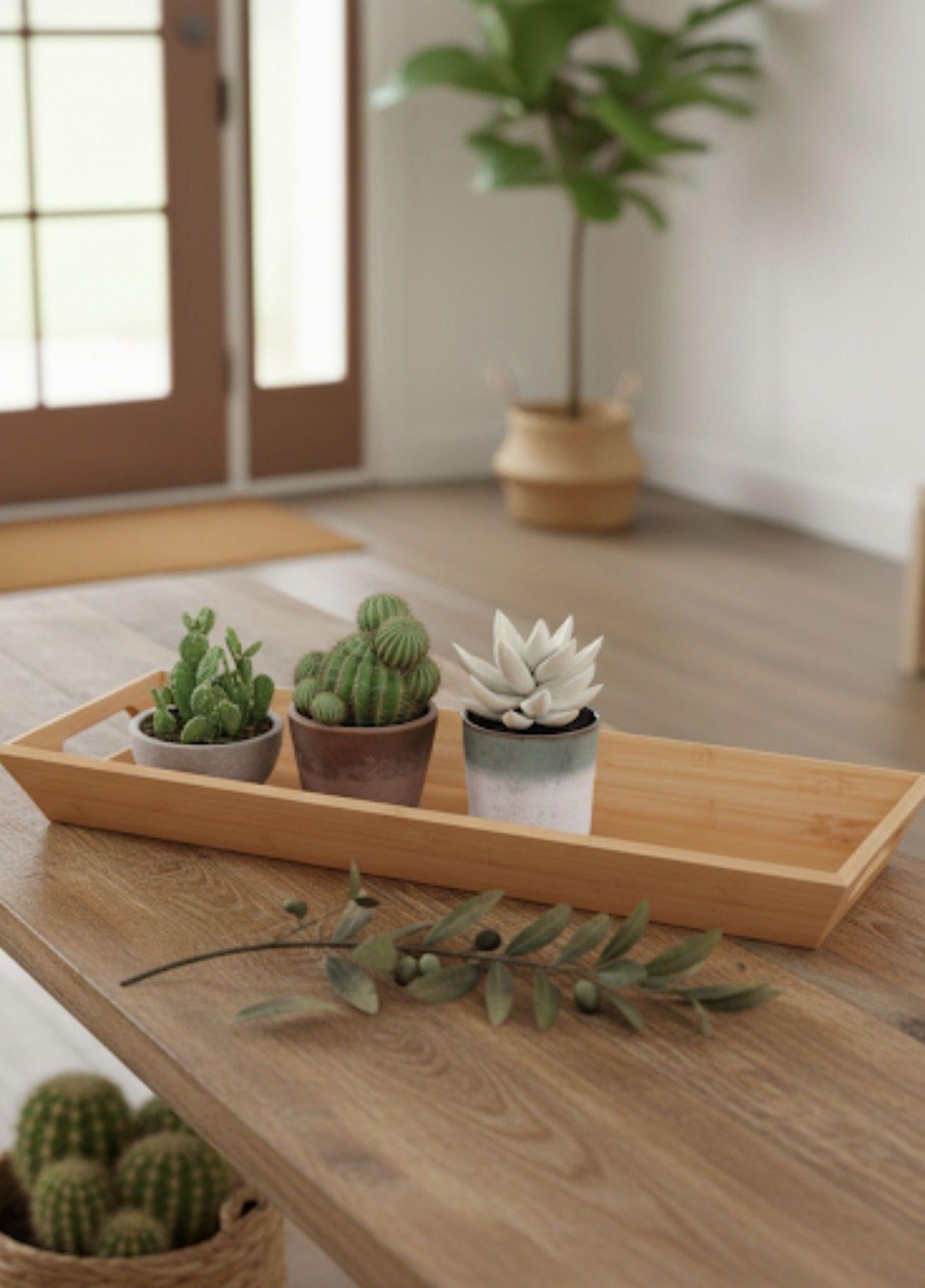 Bandeja Decorativa Multifuncional Almacenamiento Hogar Jhn-6