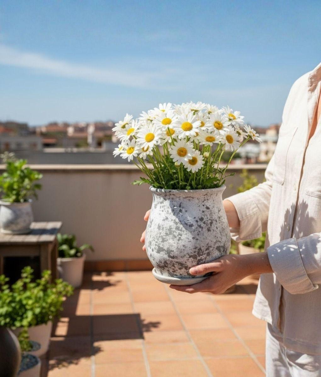 Maceta Decorativa Base Funcional Jardín Hogar Adorno Jhn-3