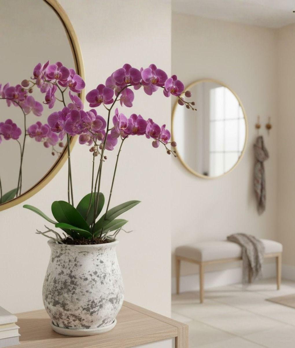 Maceta Decorativa Base Funcional Jardín Hogar Adorno Jhn-5