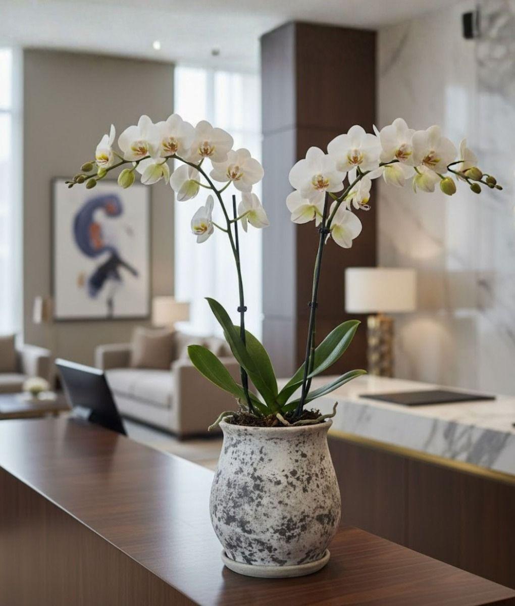 Maceta Decorativa Base Funcional Jardín Hogar Adorno Jhn-7