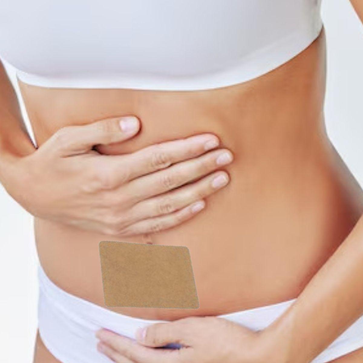 SET 10 PACK PARCHE TERMICO PARA COLICOS MENSTRUALES LAU-4