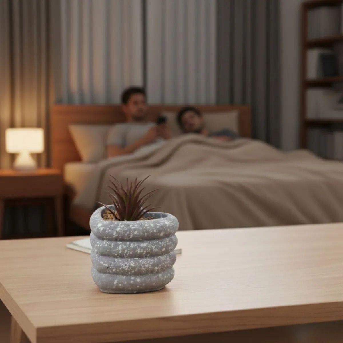 Set 2 Planta Artificial Decorativa Corazón Estilo Piedra Jhn-2
