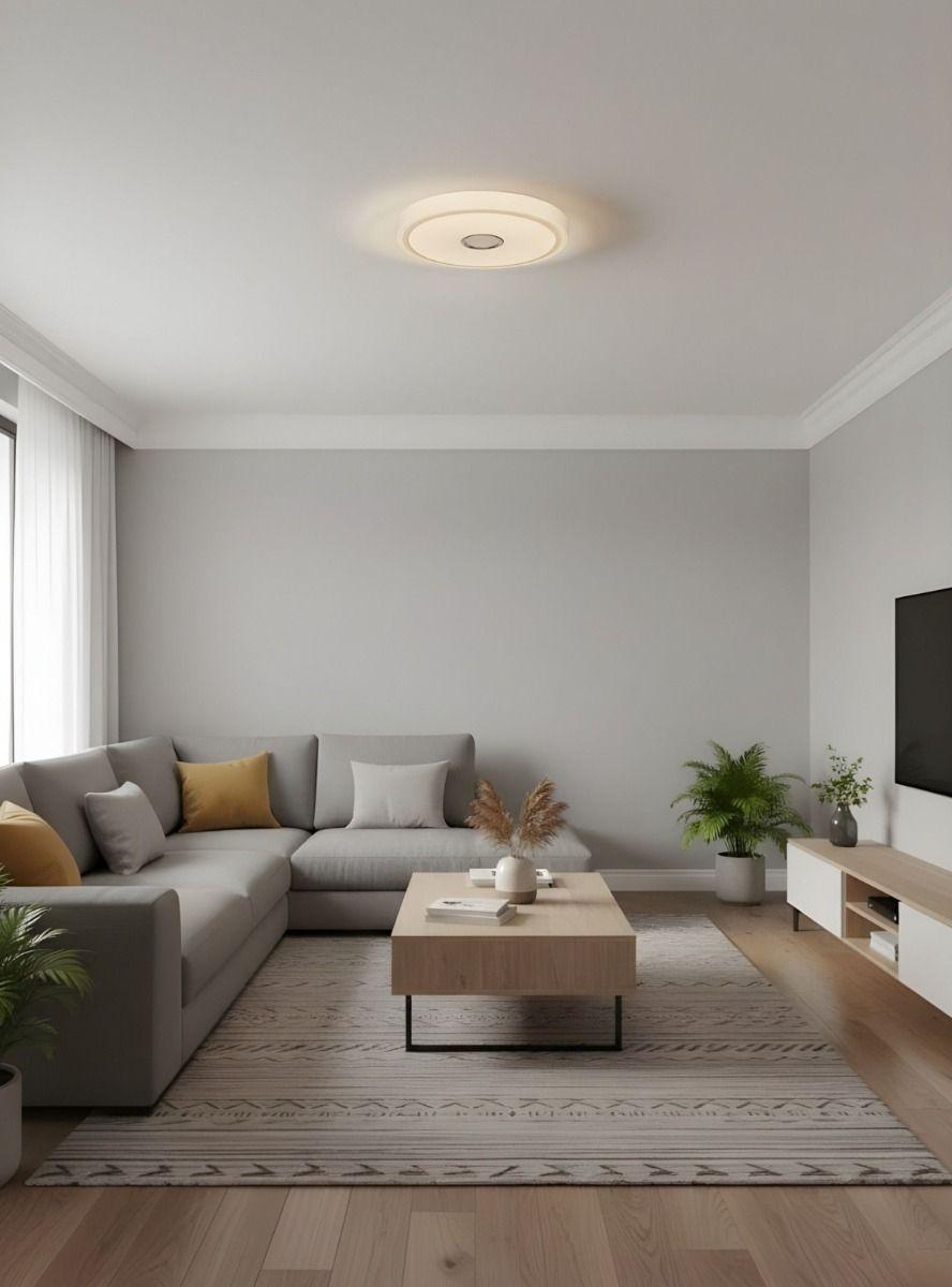 Lámpara Techo Decorativa Plafón Circular Diseño Anillos Jhn-6