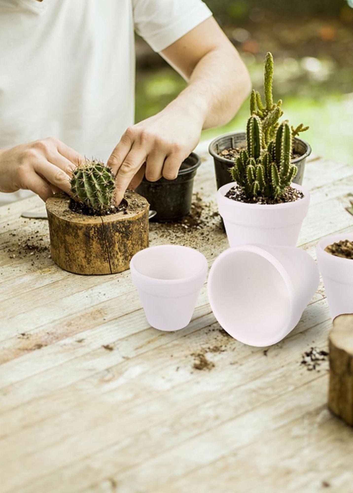 Set 6 Macetero Mini Suculentas Jardinería Cultivo Jhn-3