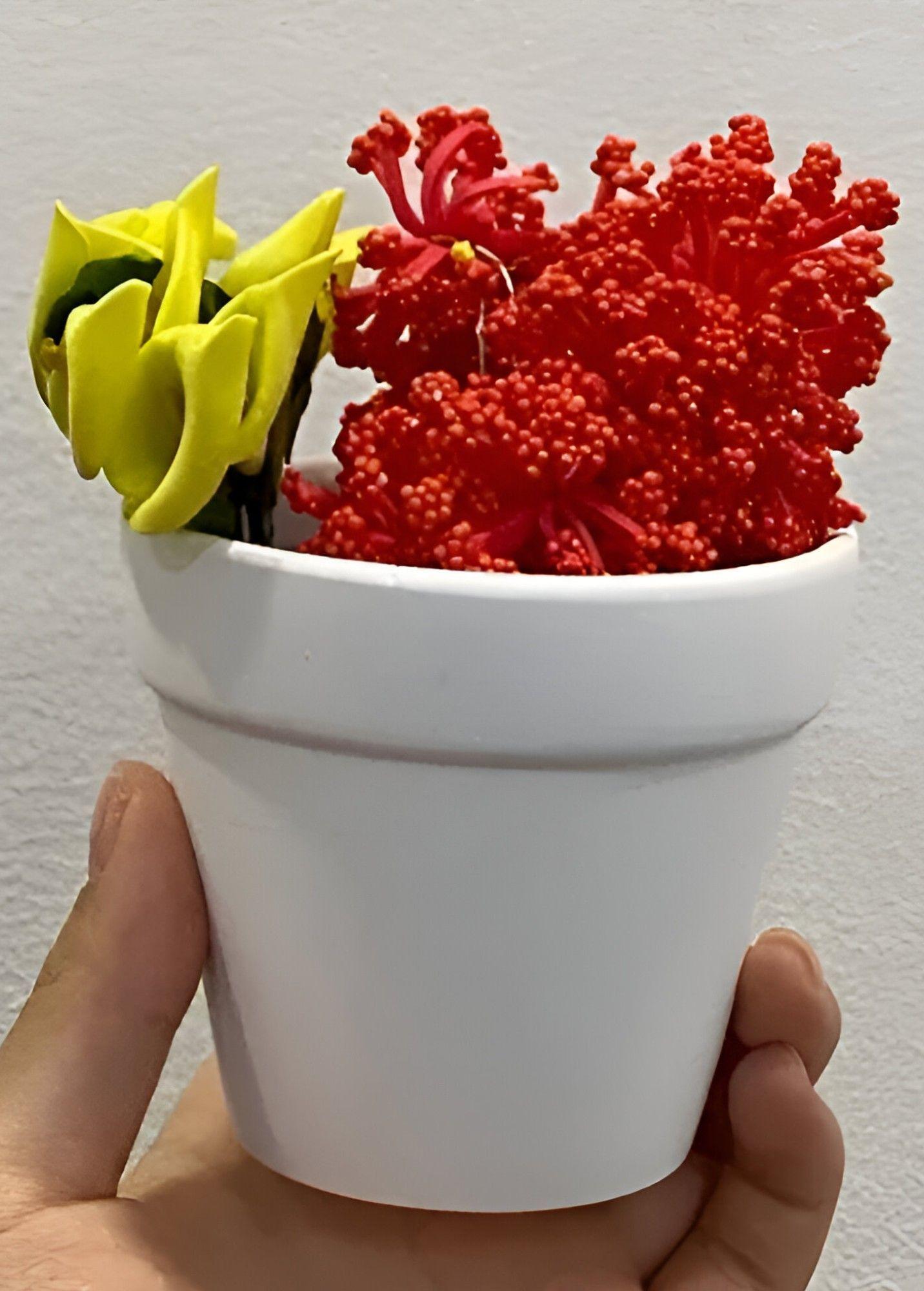 Set 6 Macetero Mini Suculentas Jardinería Cultivo Jhn-4