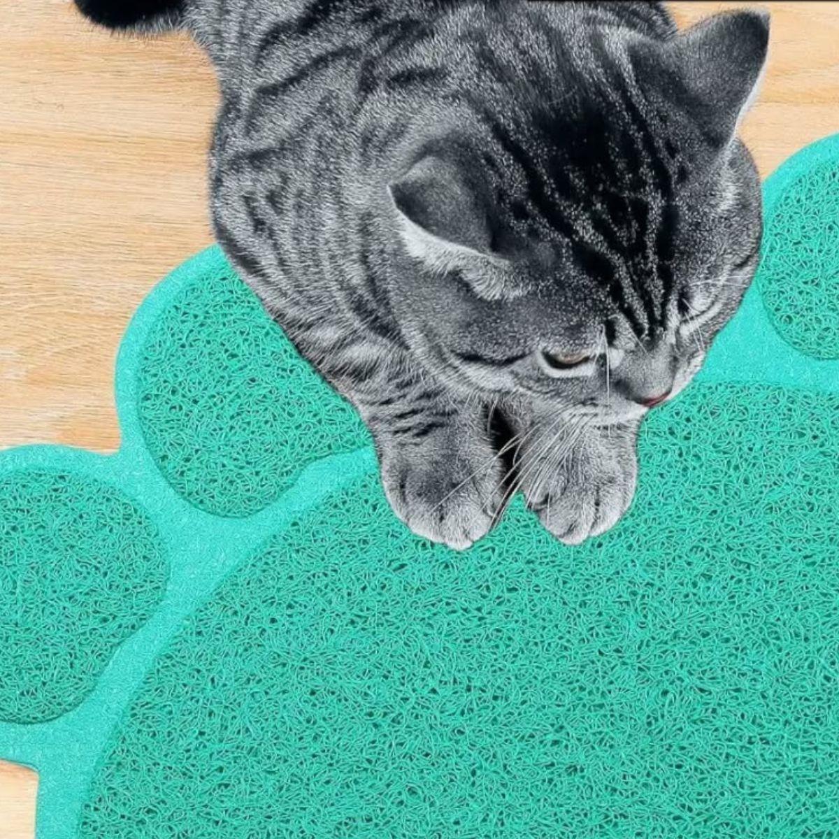 SET 2 ALFOMBRA TAPETE MASCOTAS DISEÑO DE HUELLA PARA GATOS PERROS LAU-4