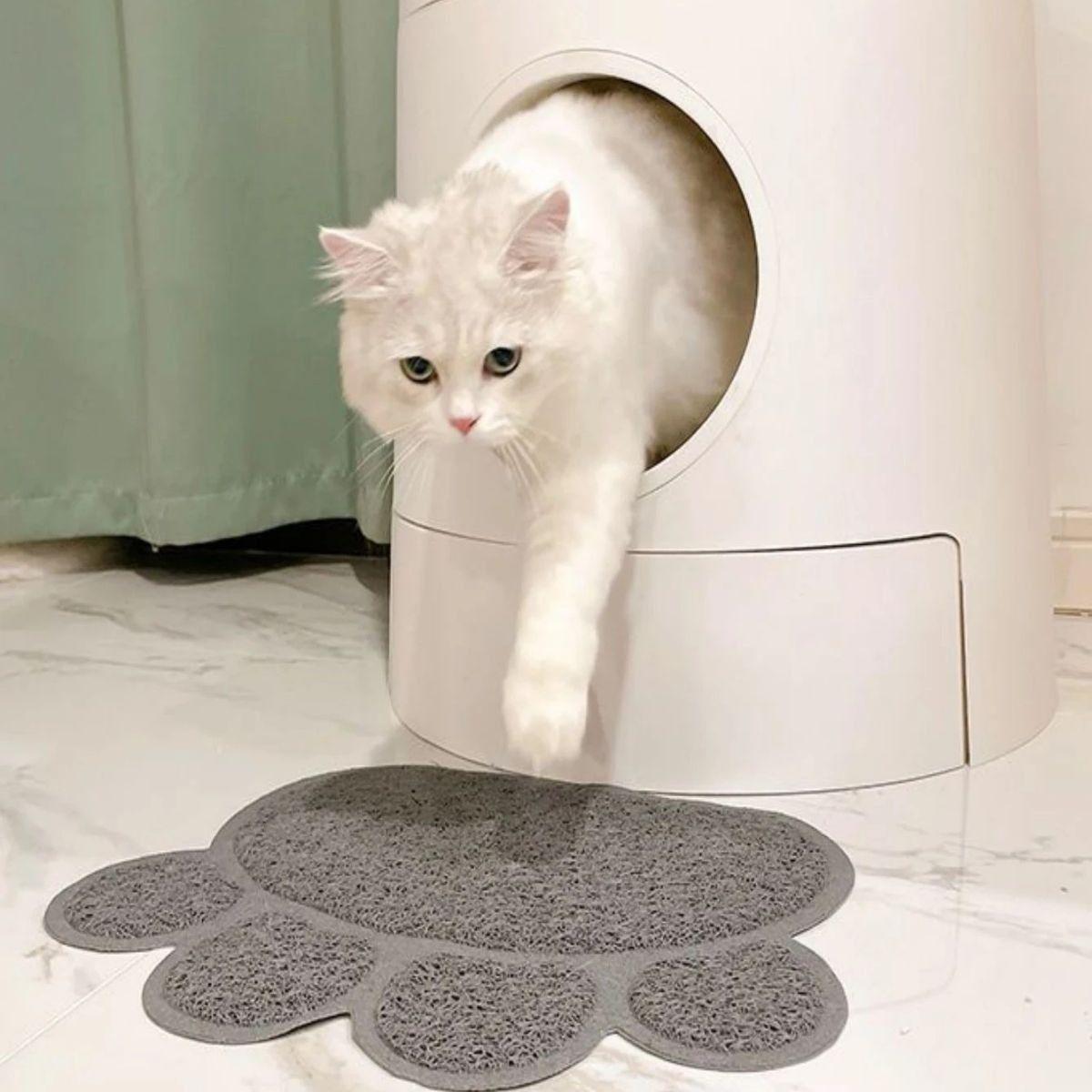 SET 2 ALFOMBRA TAPETE MASCOTAS DISEÑO DE HUELLA PARA GATOS PERROS LAU-6