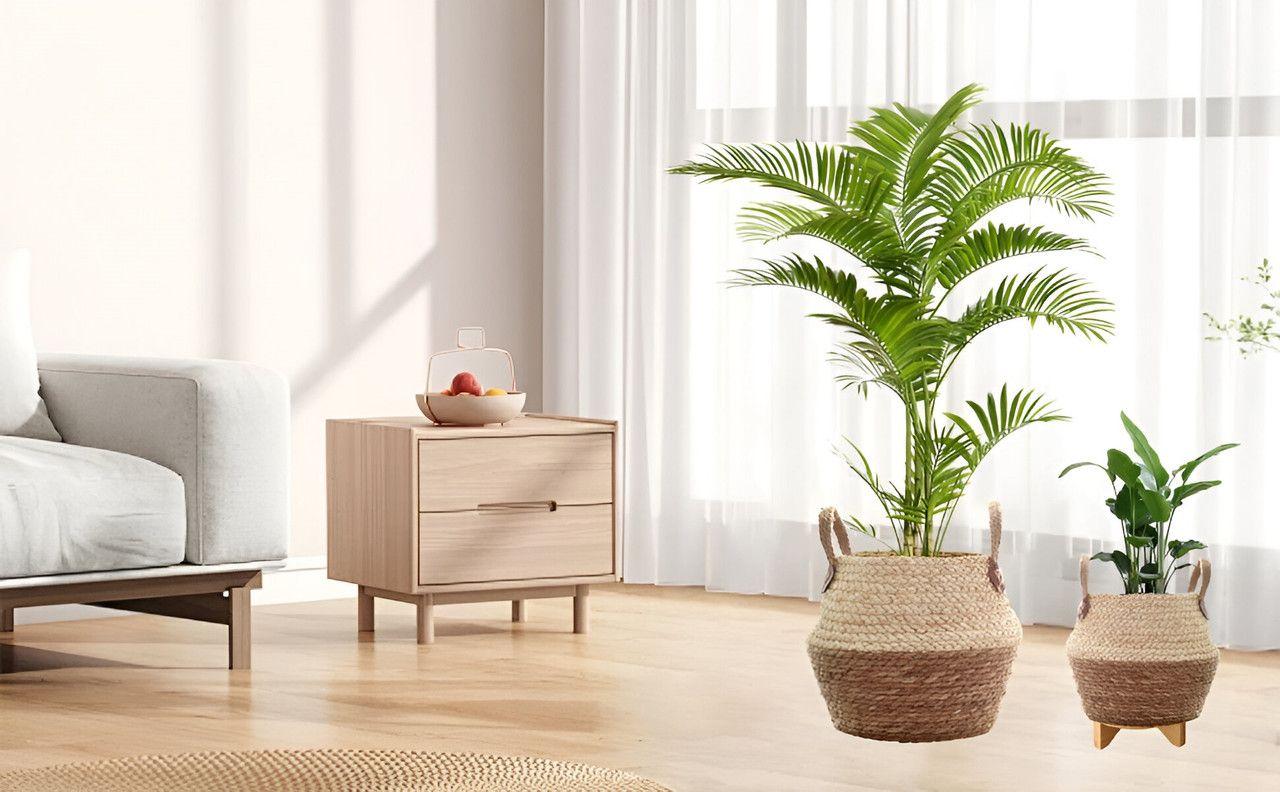 Maceta Mimbre Cesta Jardineria Decoracion Hogar Lau-4