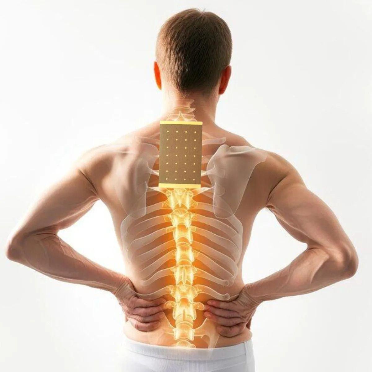PACK DE 50 PARCHES PARA ALIVIO DE DOLORES MUSCULARES LAU-2