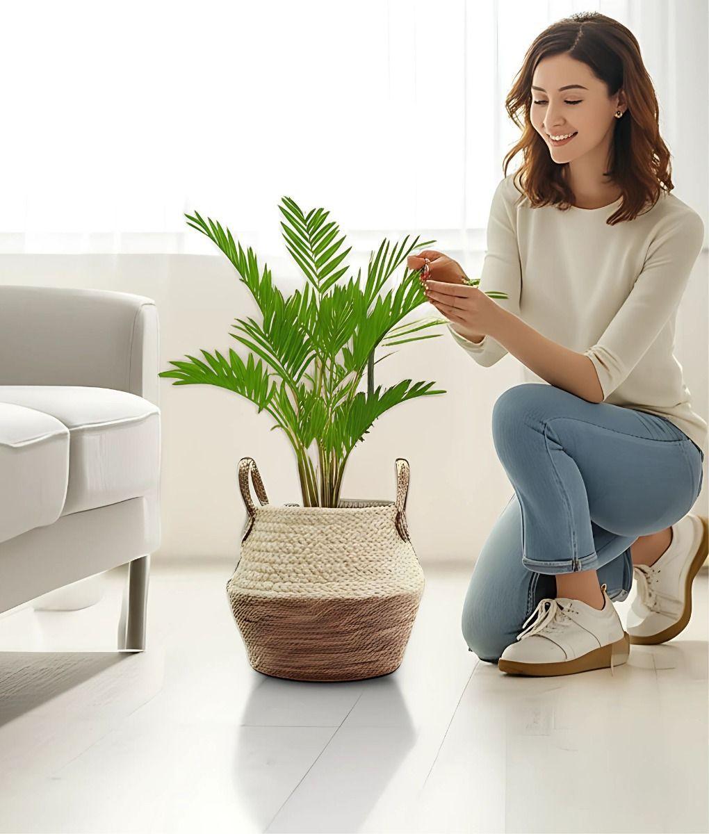 Set Macetero Interior Tejido Cuerda Resistente Maceta Jhn-3