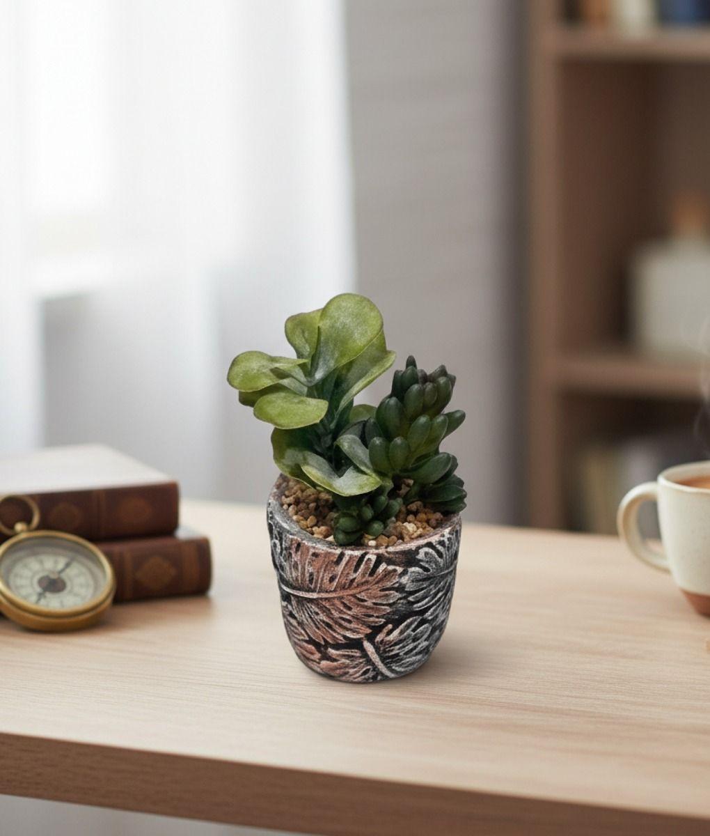 Set 2 Planta Decorativa Suculenta Adorno Hogar Jhn-8