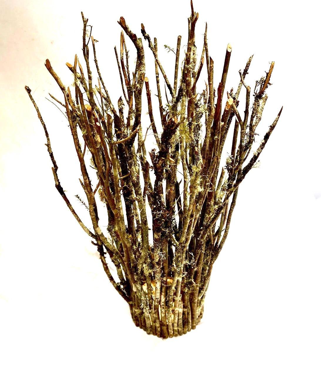 Lámpara De Madera Luma-1