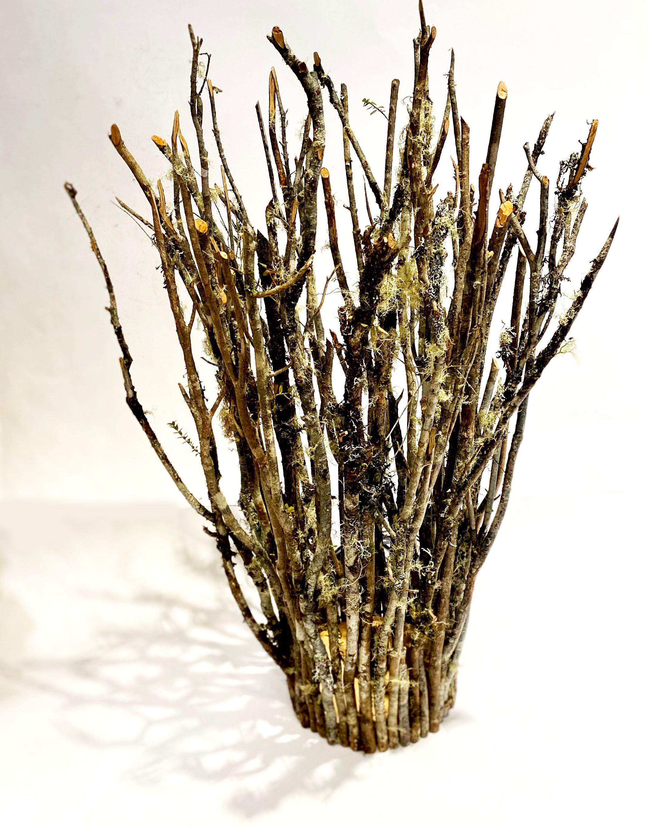 Lámpara De Madera Luma-2