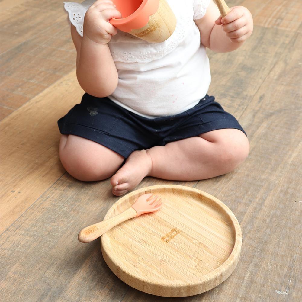 Plato Plano con Ventosa Fisher Price Bam N Boo Rosa BB1169-5