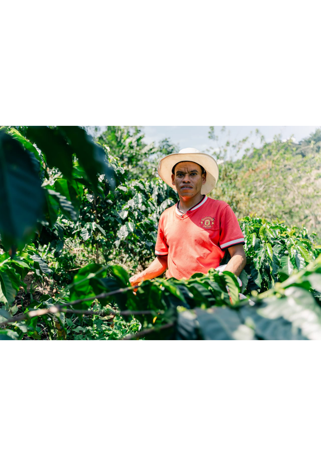 Cafe Molido Espresso Nosso Cafe Justo Finca Indigena 250g-3