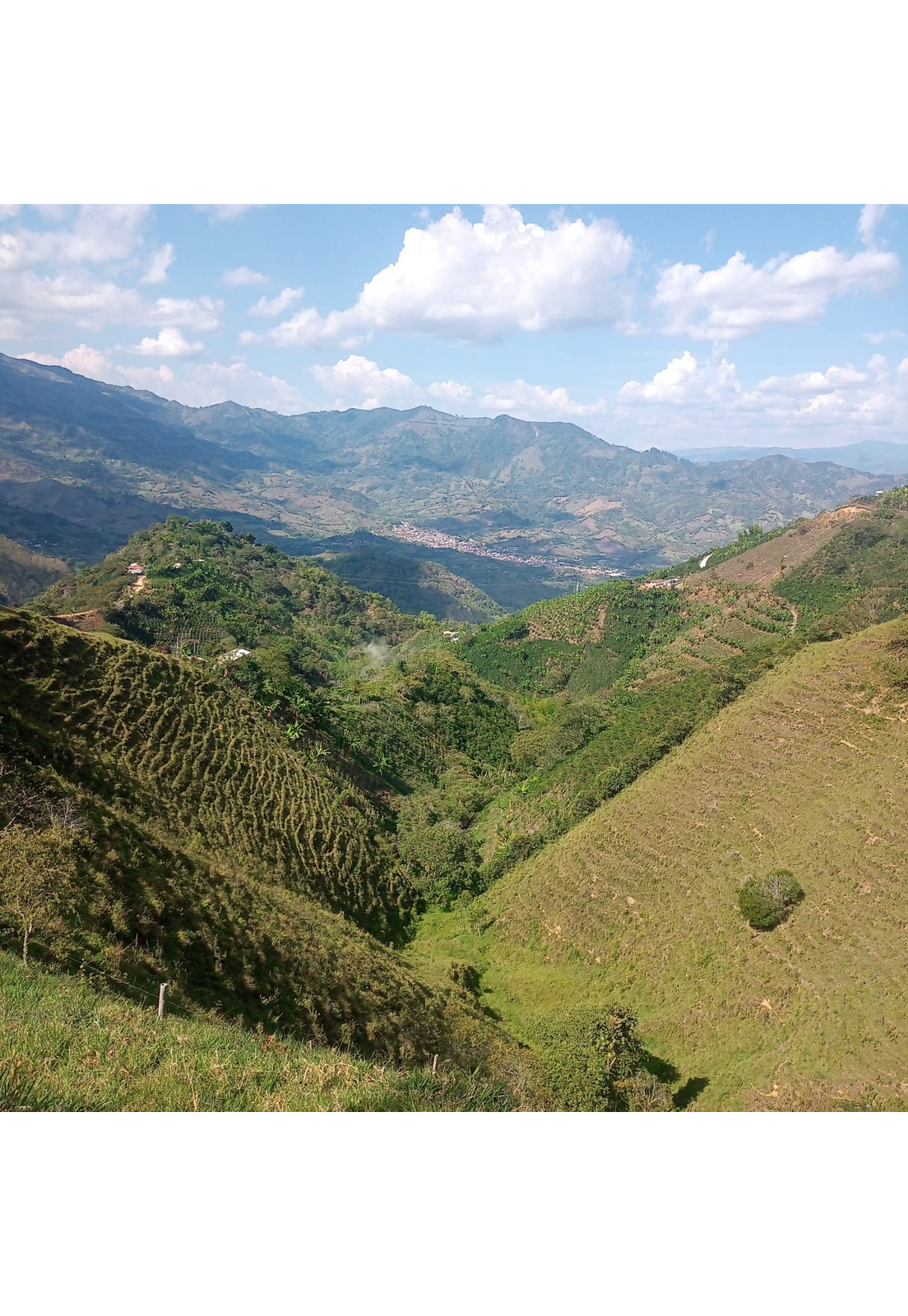 Cafe Molido Espresso Nosso Cafe Justo Finca Indigena 250g-4