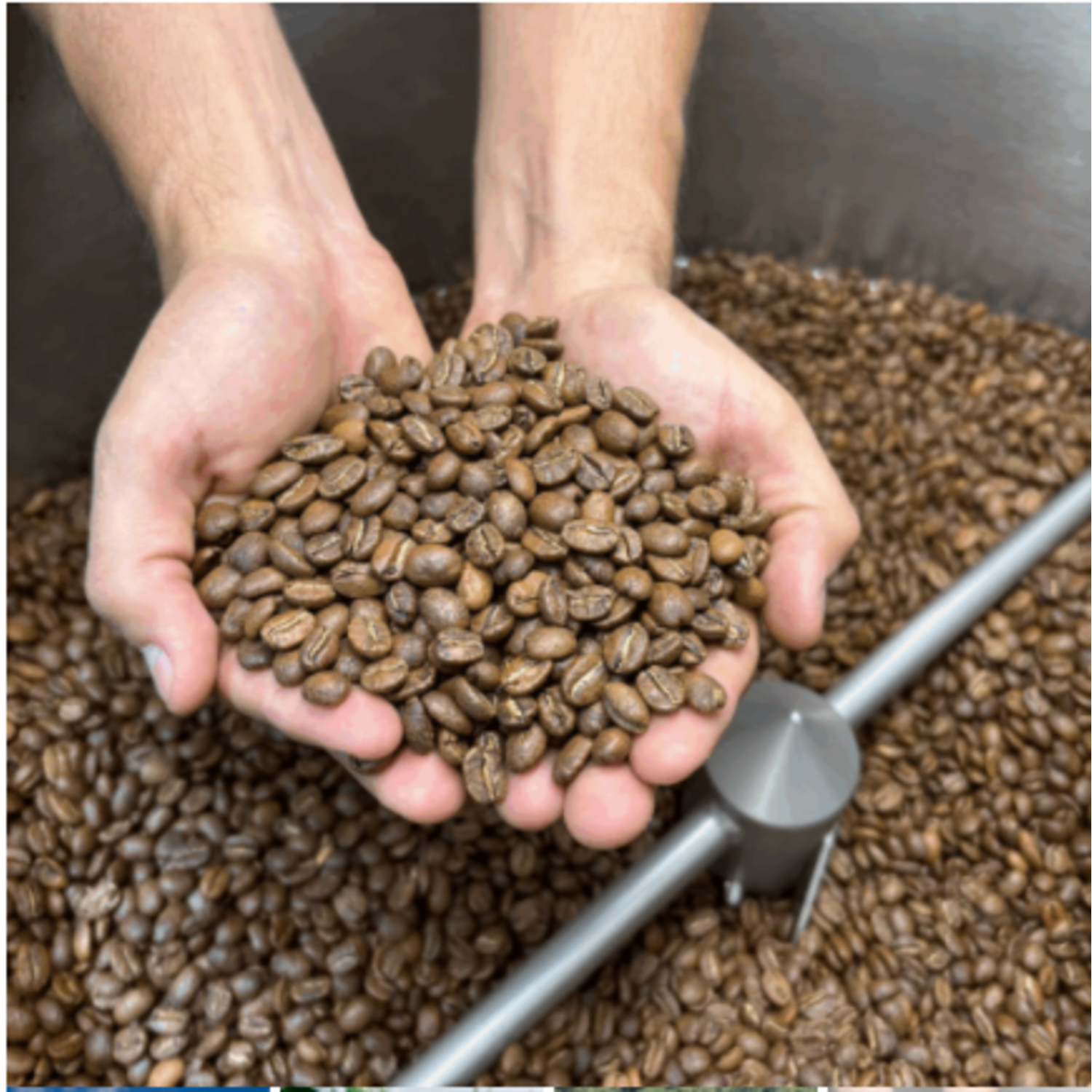 Cafe Sin Maquina Drip Nosso Cafe Justo Tropical Blend-5