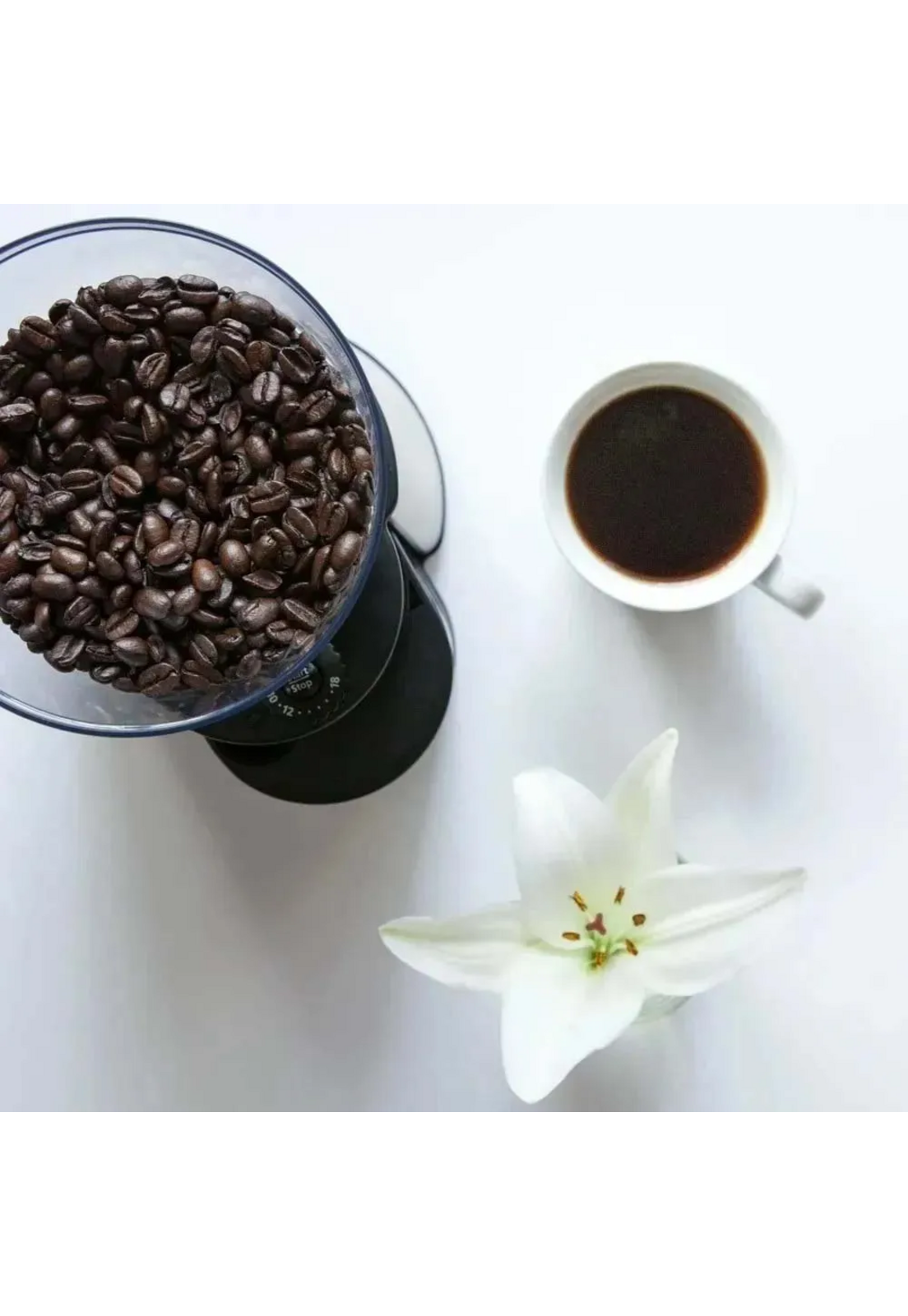 Molinillo de Cafe Oster 18 Ajustes 250 Gramos 23052-3