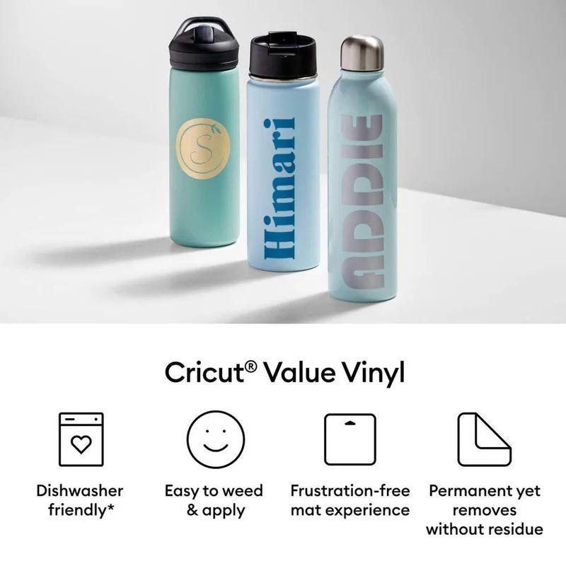 Vinilo Promocional 12 x 5 in - 10 Und Multicolor Cricut-4