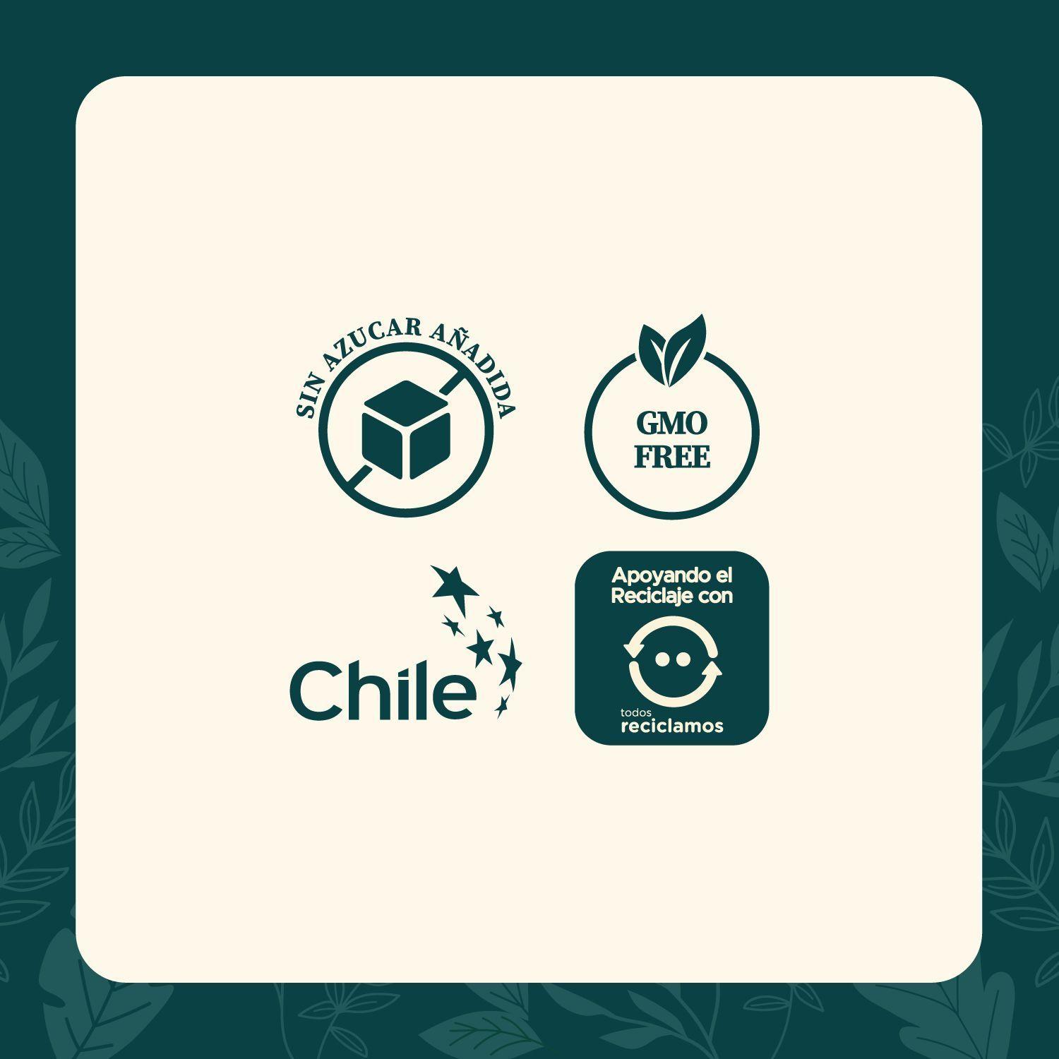 Pack X2 Berberina 500 Mg - 120 Capsulas Karun Life-2