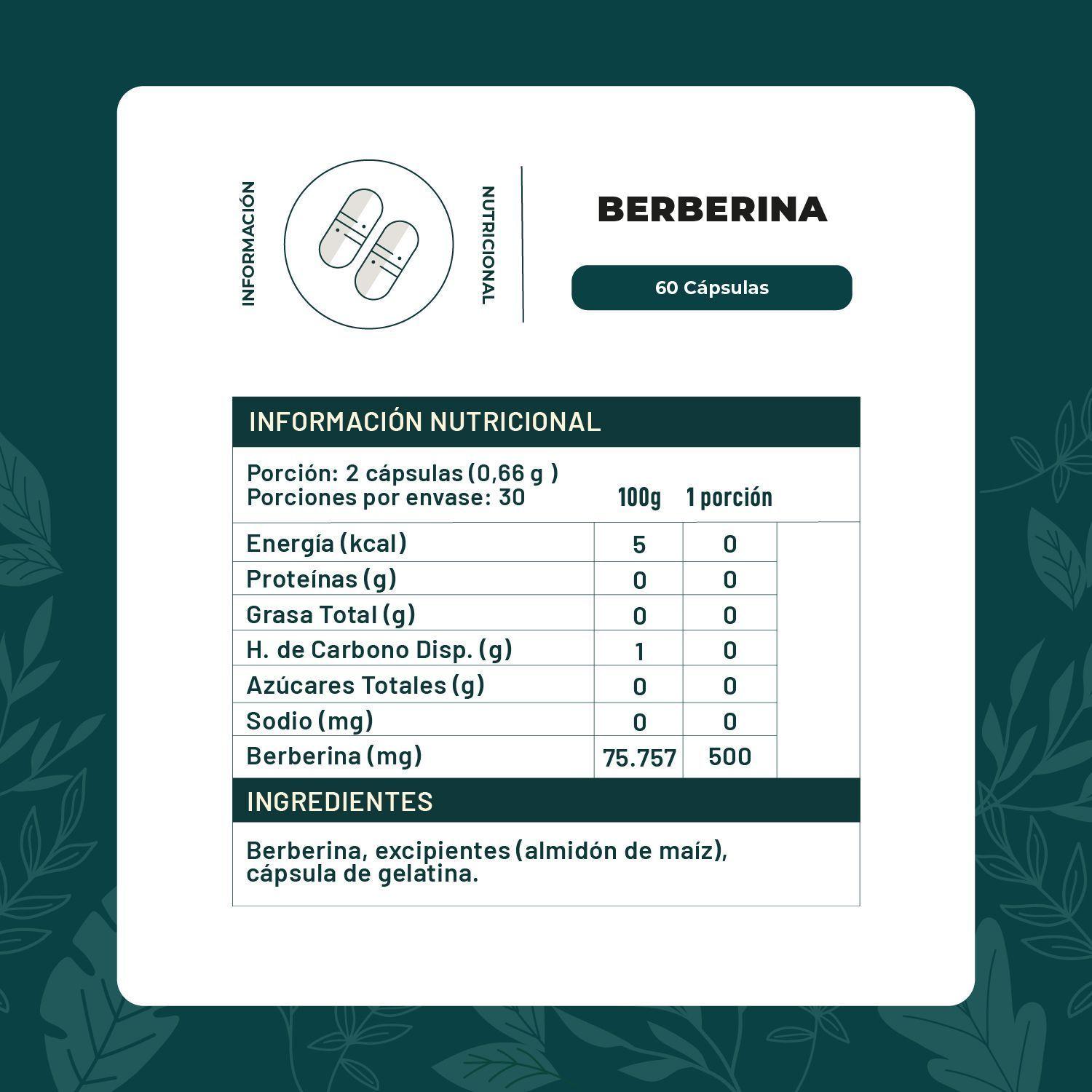 Pack X2 Berberina 500 Mg - 120 Capsulas Karun Life-4