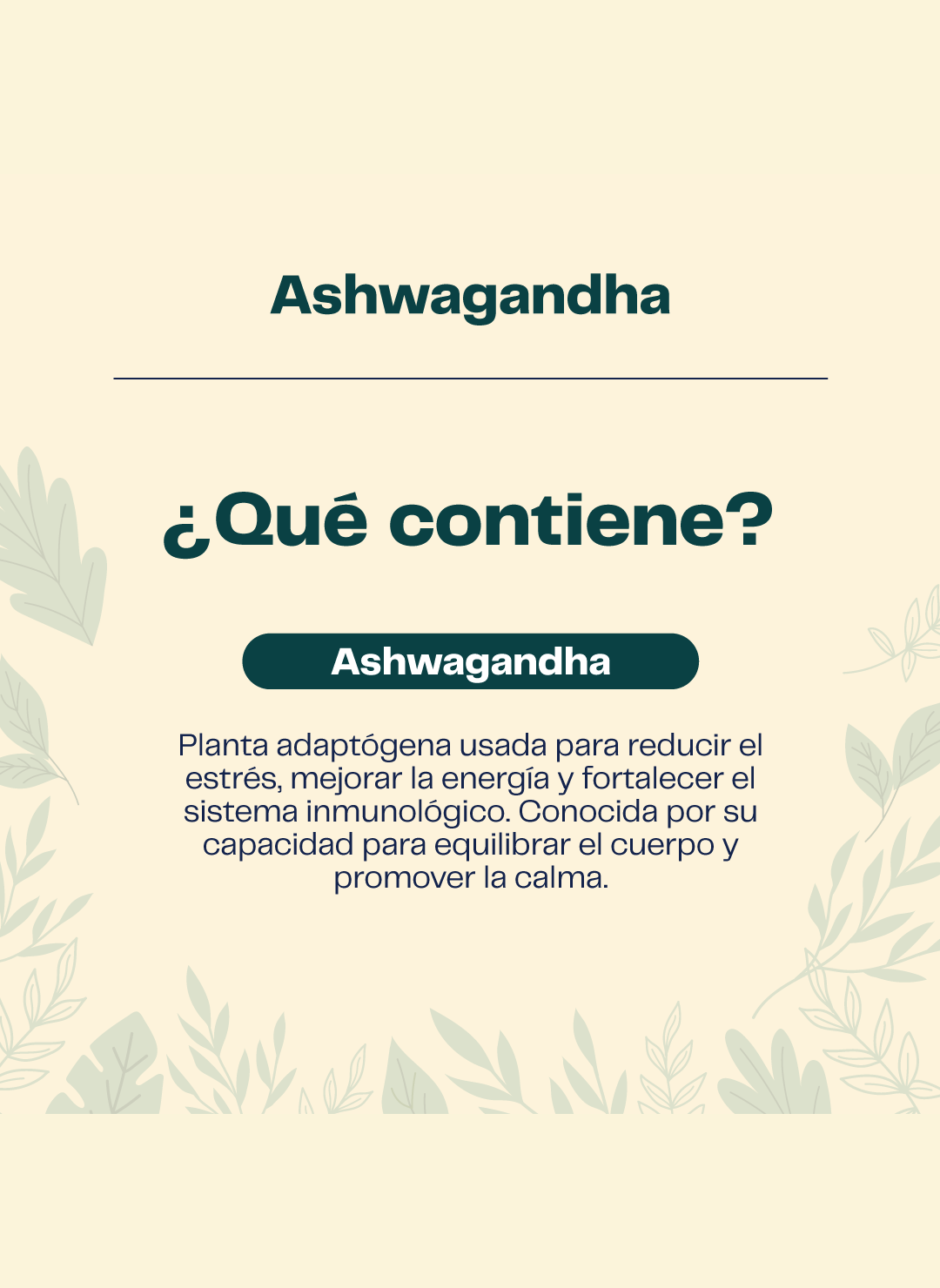 Ashwagandha 450mg 60 Cap Pack 2 Uni - Antistress Mente Optima-2