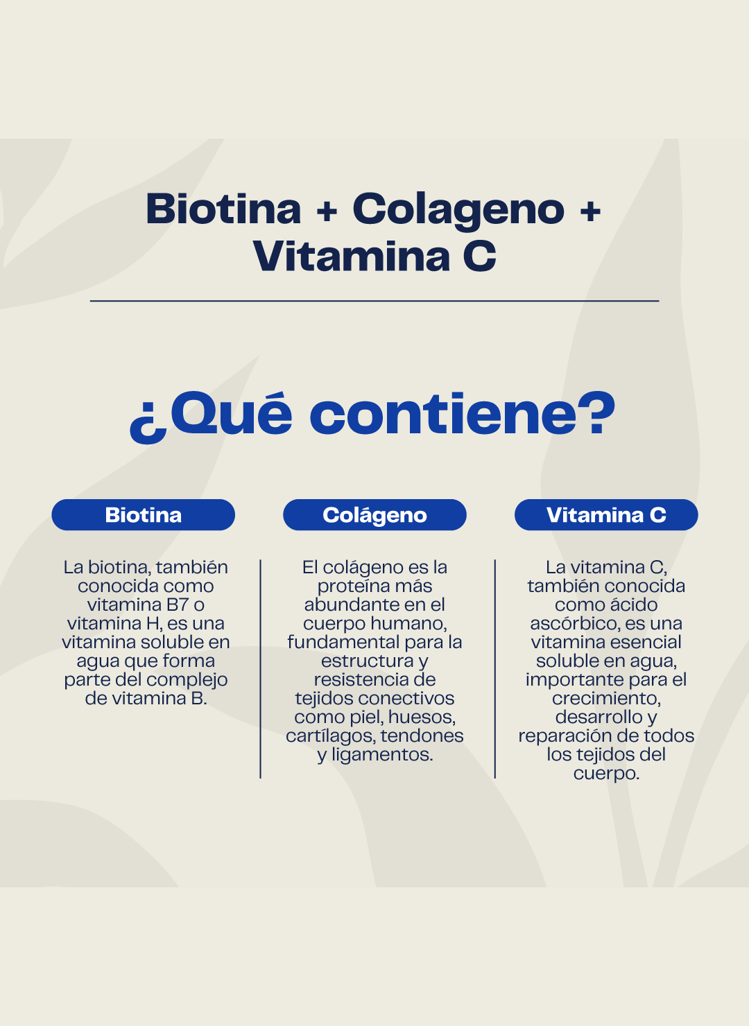Biotina + Colágeno Hidrolizado  + Vitamina C 500mg 60 Cap Karun Life-2