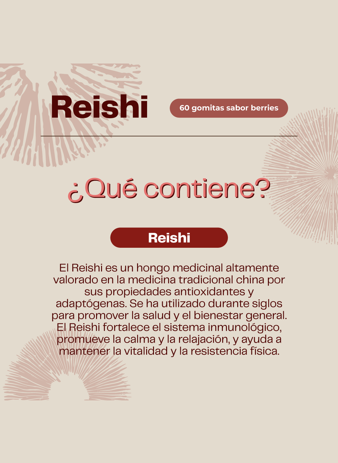 Melena De León + Reishi Hongos Pack Extracto Gotas 60ml Karun Life-4