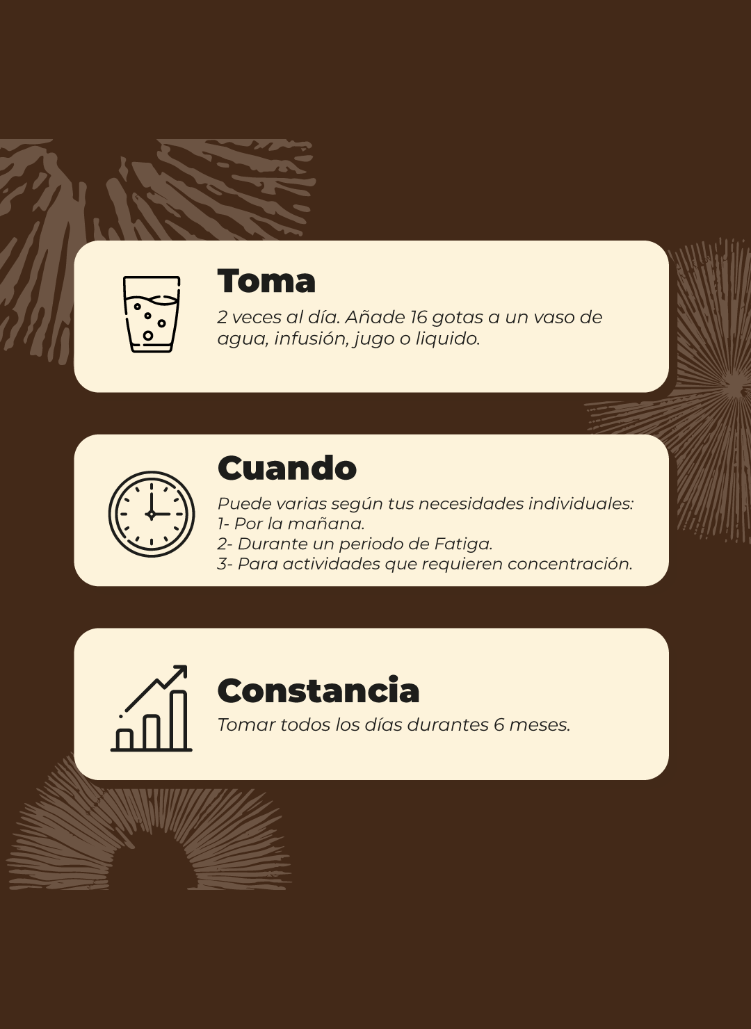 Melena De León + Reishi Hongos Pack Extracto Gotas 60ml Karun Life-7