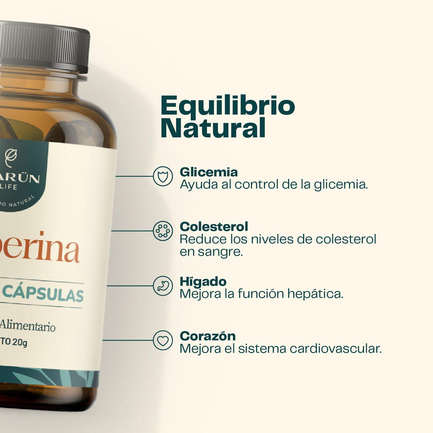 Pack X3 Berberina 500 Mg 180 Capsulas Karun Life-2