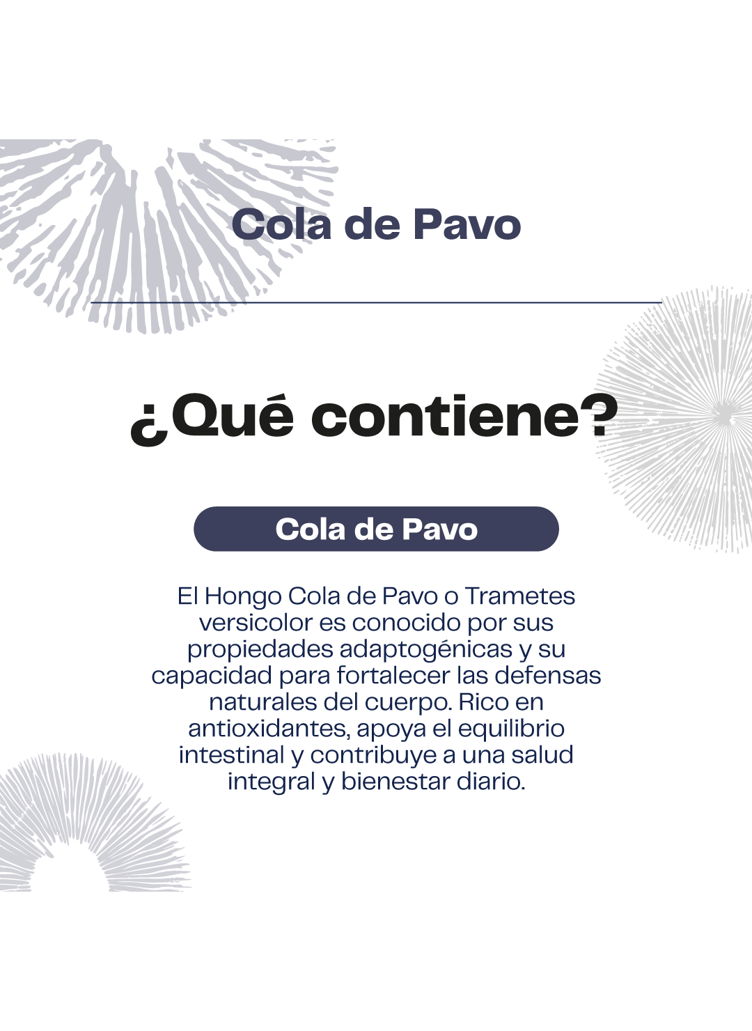 Cola De Pavo Hongo Premium Extracto Gotas 30ml Karun Life-2