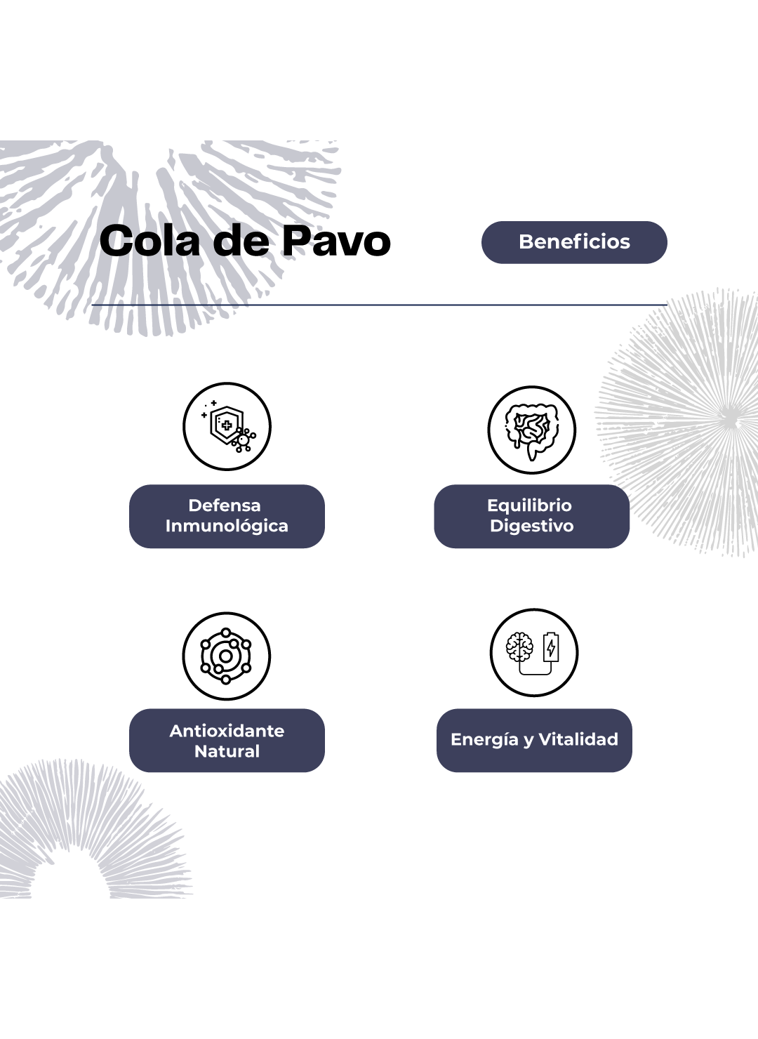 Cola De Pavo Hongo Premium Extracto Gotas 30ml Karun Life-3