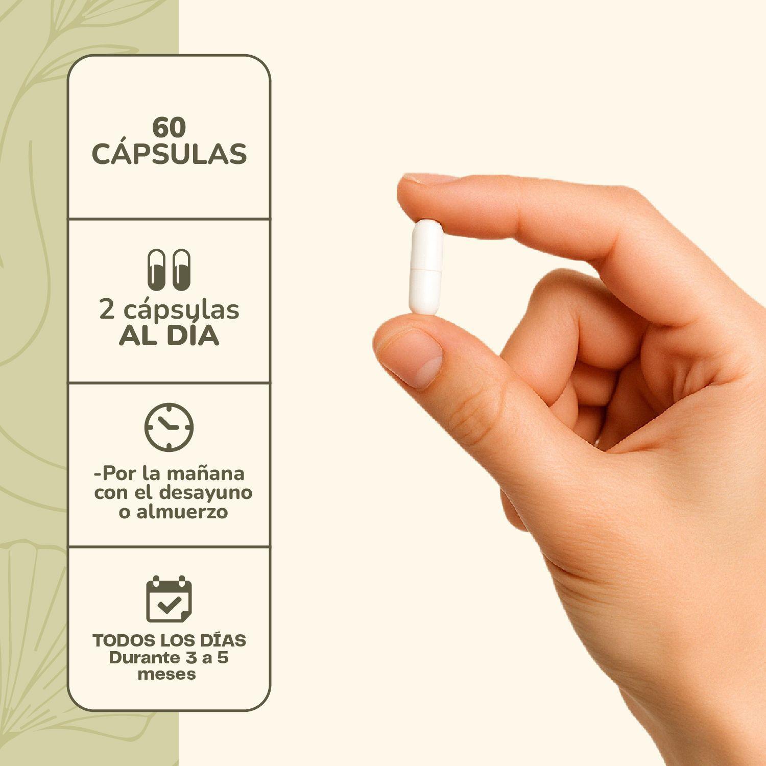 Pack X2 Probi tico Digestivo 120 Capsulas Karun Life-3